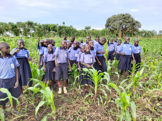 School Farm Support
